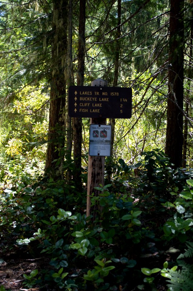 untitled-1434jpg_49364069163_o