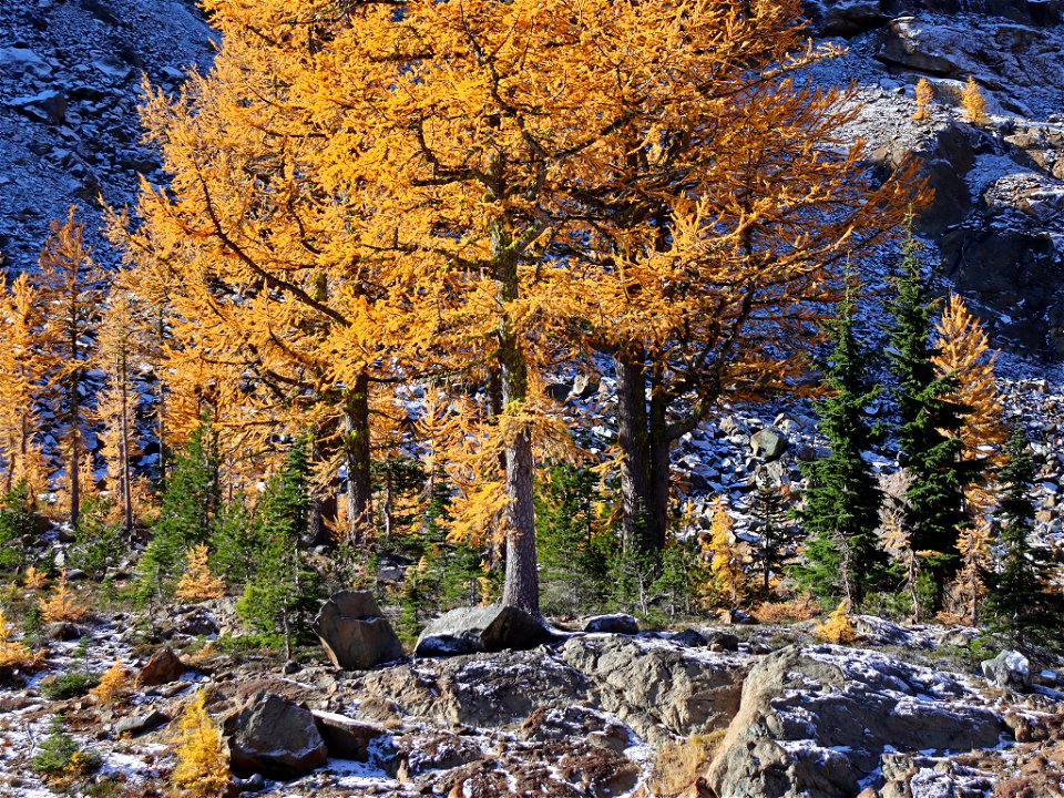 Ingalls Pass at North Cascades in WA