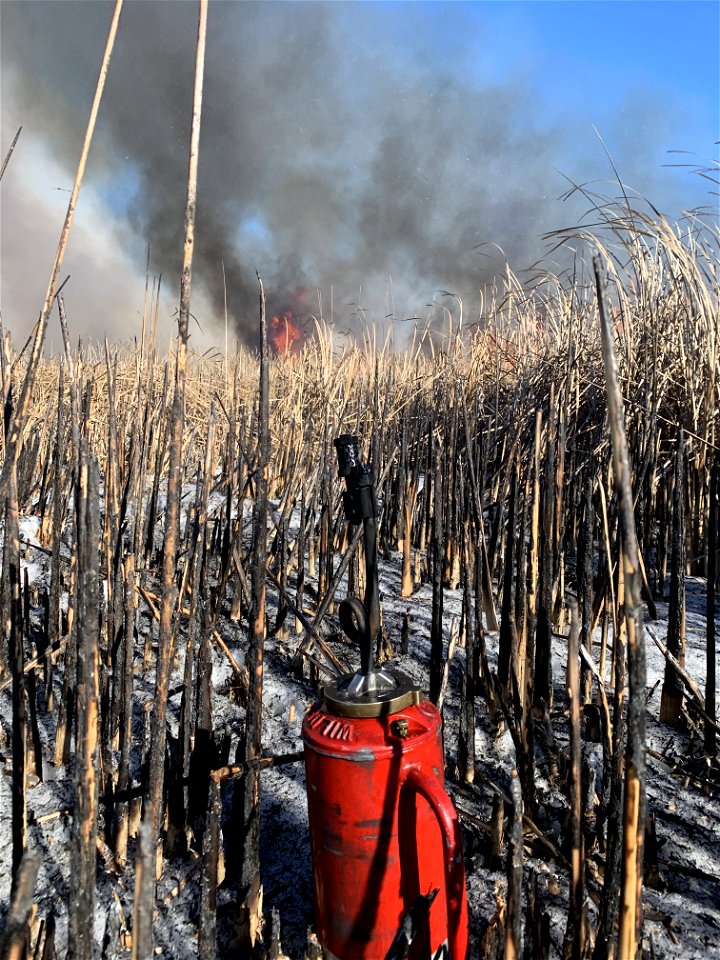 2021 USFWS Fire Employee Photo Contest Category: Fuels Management