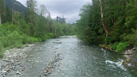 Stillaguamish River at Big 4, Mt. Baker-Snoqualmie National Forest. Video by Sydney Corral June 28, 2021 photo