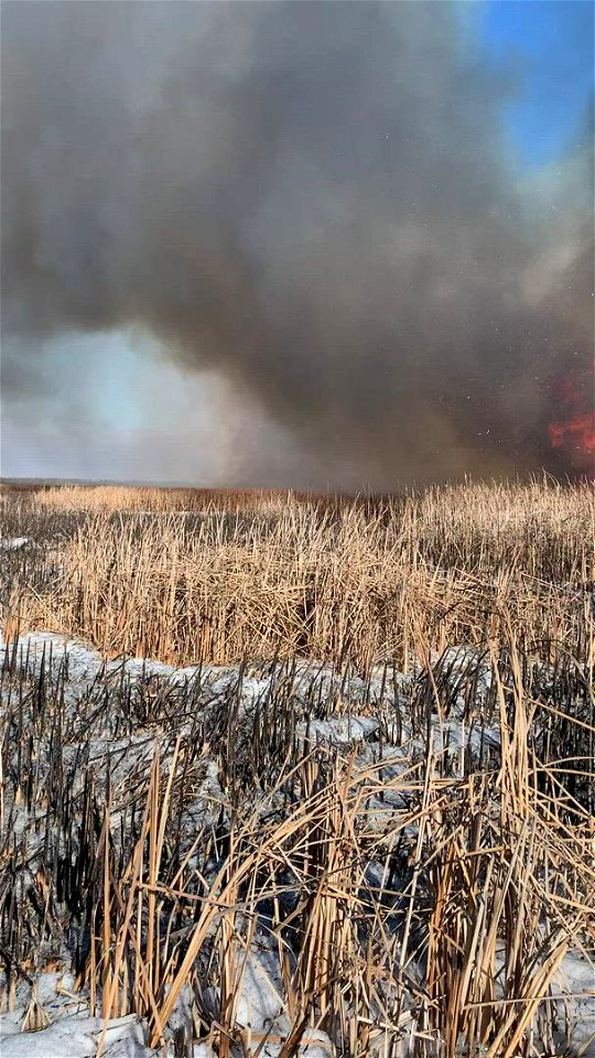 2021 USFWS Fire Employee Photo Contest Category: Video
