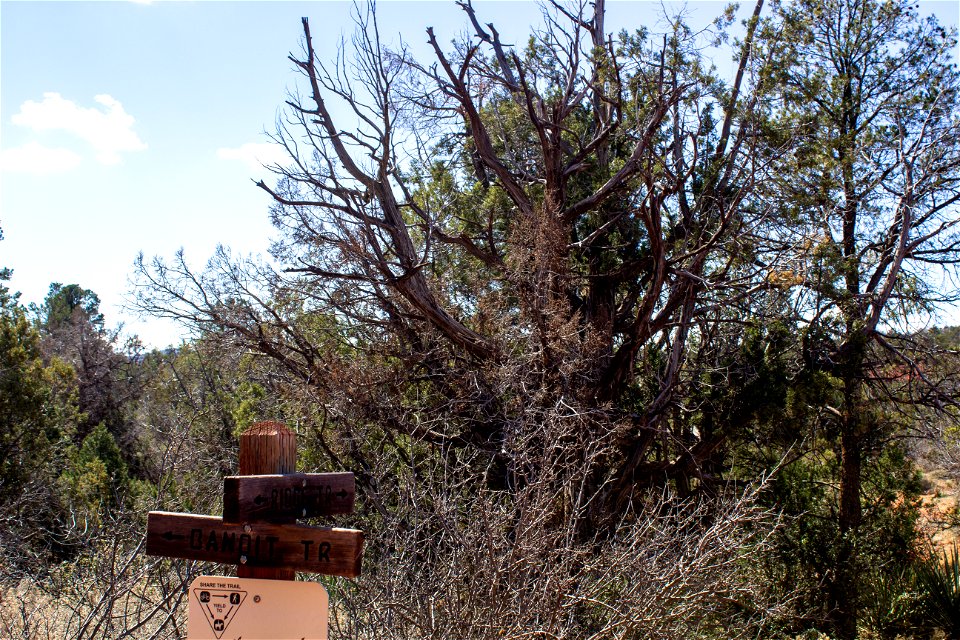 Trails: Old Post Trail
