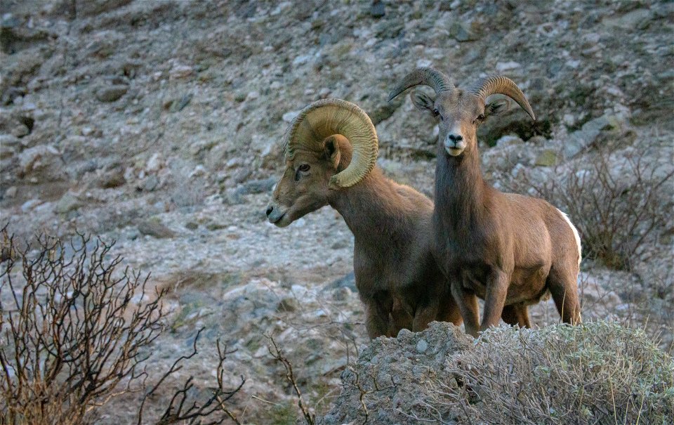 San Gorgonio Wilderness in Sand to Snow National Monument