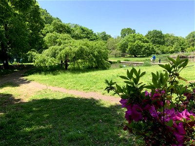 Kiyose Kanayama Green Space Park