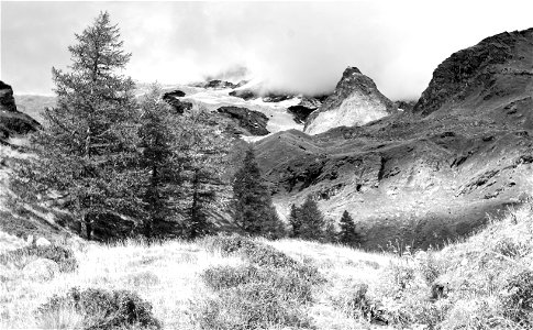 summer mountain walk photo