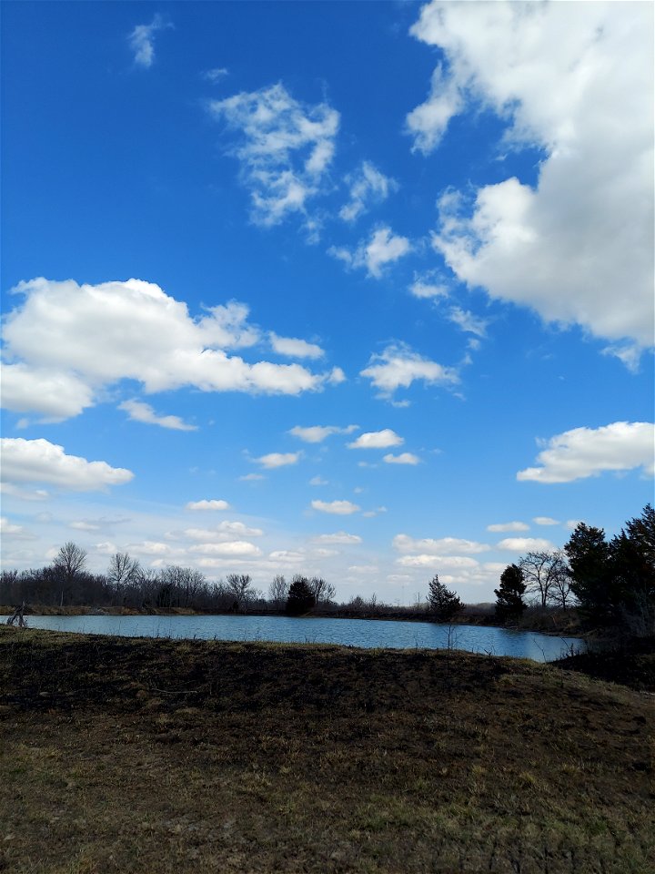 Post-Fire Category - USFWS 2022 Photo/Video Contest