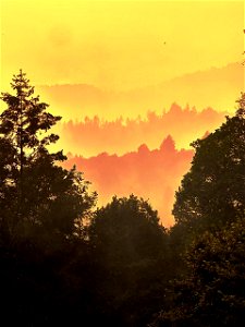 Six Rivers Lightning Complex