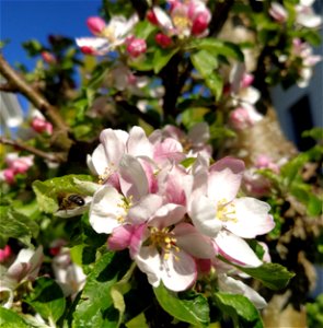 IMG_20210528_172649
