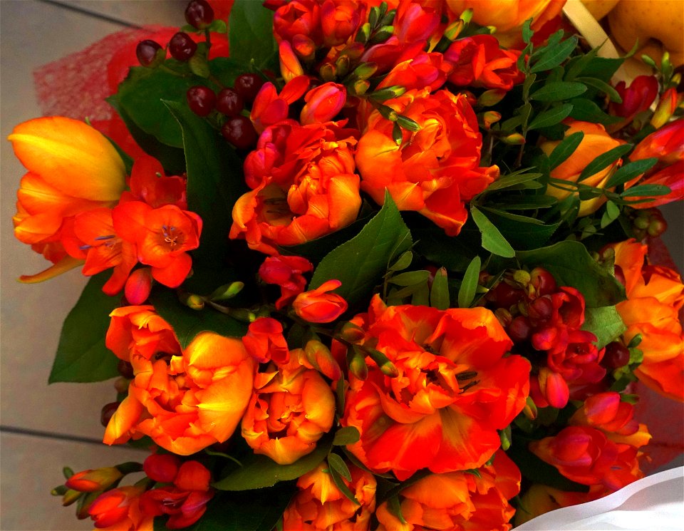 flori_flowers-wife-2023_0227_202328