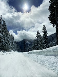 Spring snow in the Santiam Pass, Oregon photo