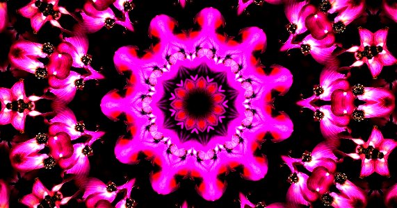 Kaleidoscope230106185532