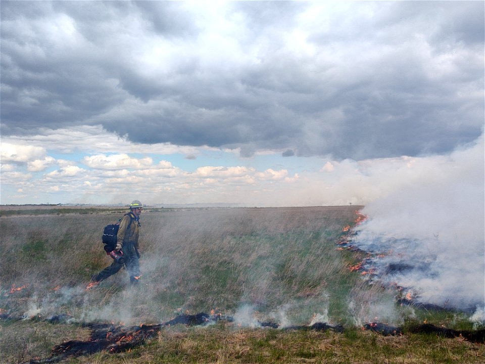 Personnel Category - USFWS 2022 Photo/Video Contest