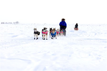 Kobuk 440 racers on the trail between the villages of Selawik and Ambler.