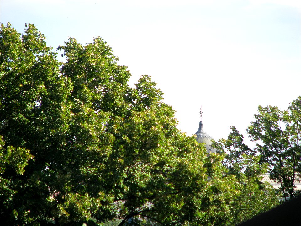 Panorama from panduri (89)