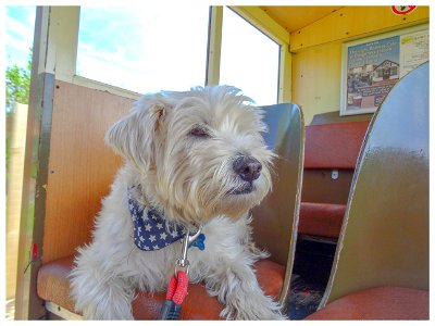 Train Ride