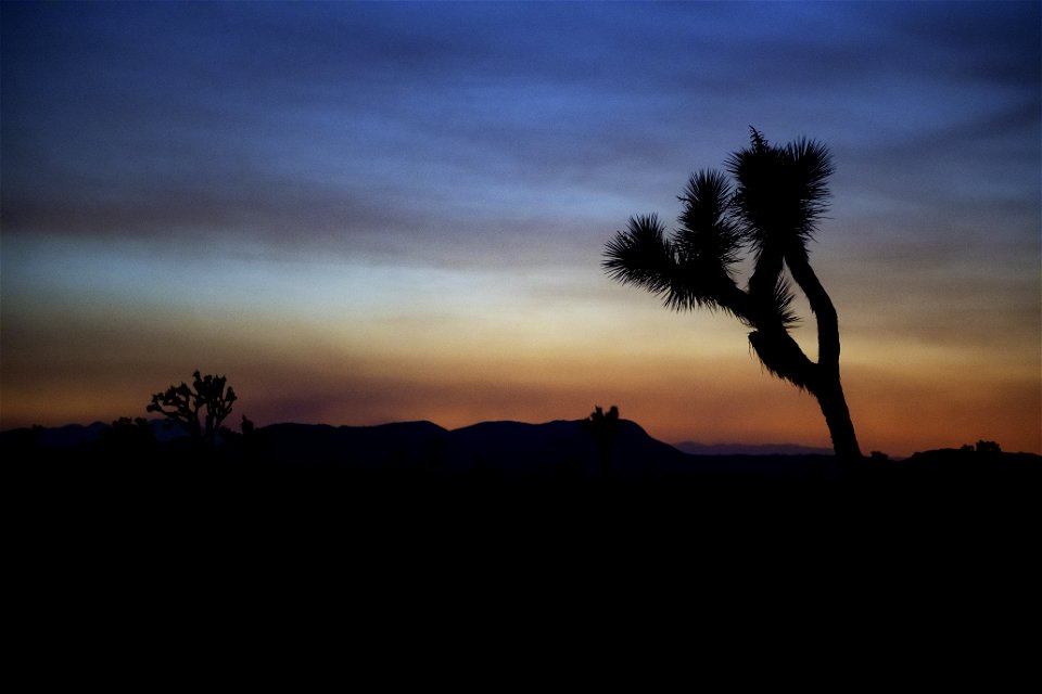 Sunset on Pinto Basin Road photo