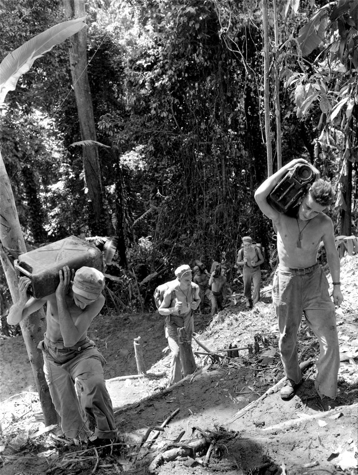 SC 184774-S - Returning from a water-carrying detail over 800 yards of mountain trail for E Co., 145th Inf., 37th Div. on Bougainville, are, L-R: