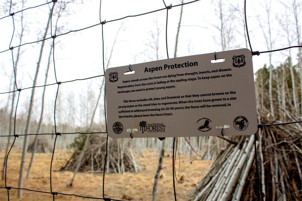 Oystershell scale mitigation field trip 12/7/21