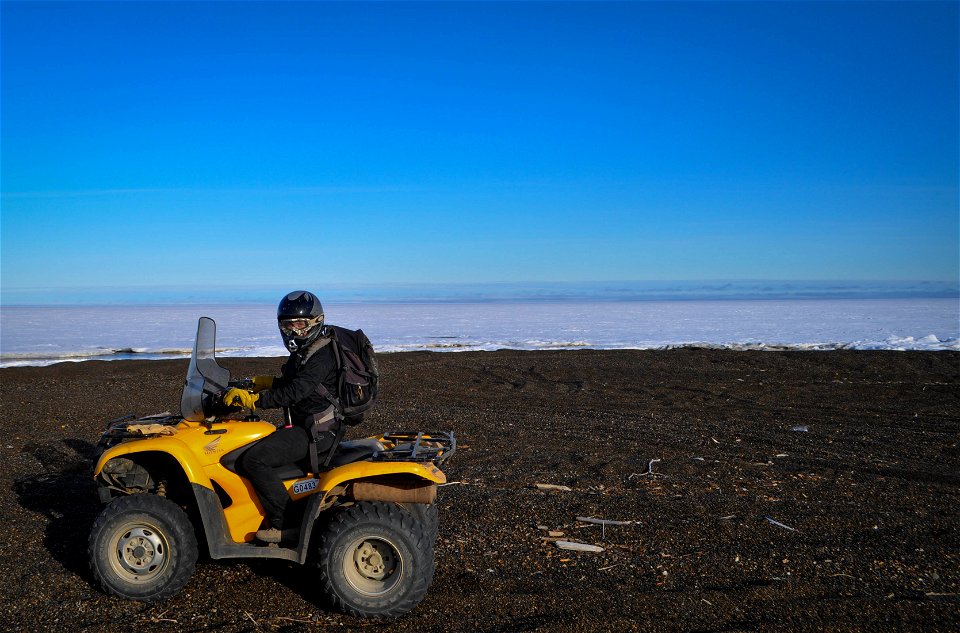 2014_FairbanksFWFO_Barrow_volunteer Ariana Dickson rides an ATV