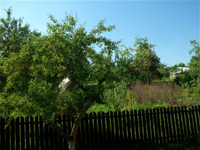 dela_PiatraNeamtz2015_0808_150858
