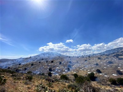 Black Hills Wash Prescribed Burn