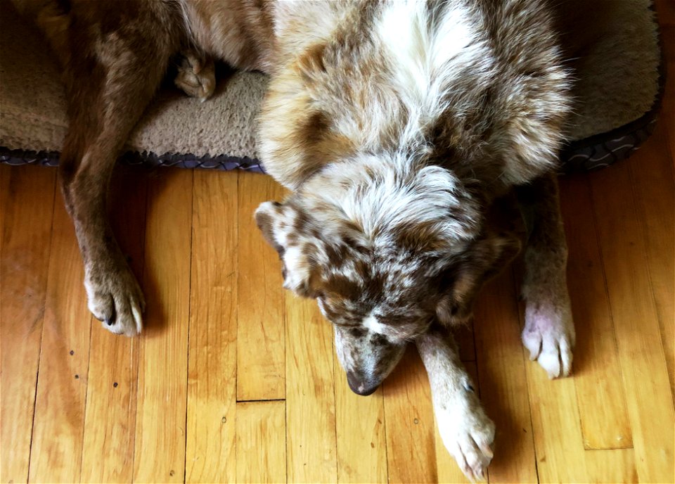 2022/365/177 The Deep Sleep