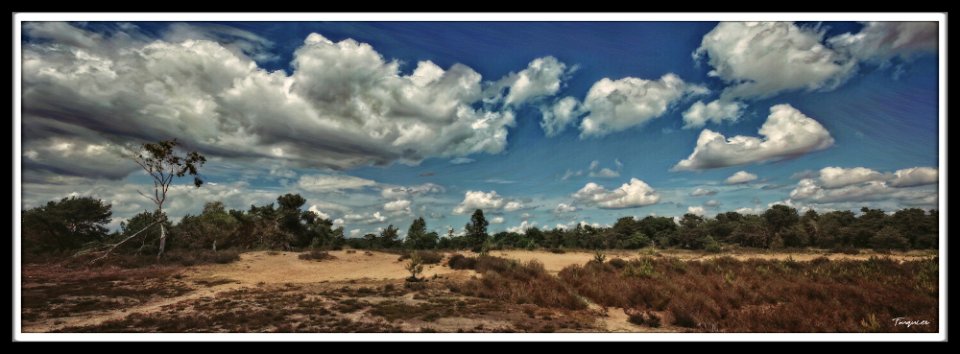 Dunes
