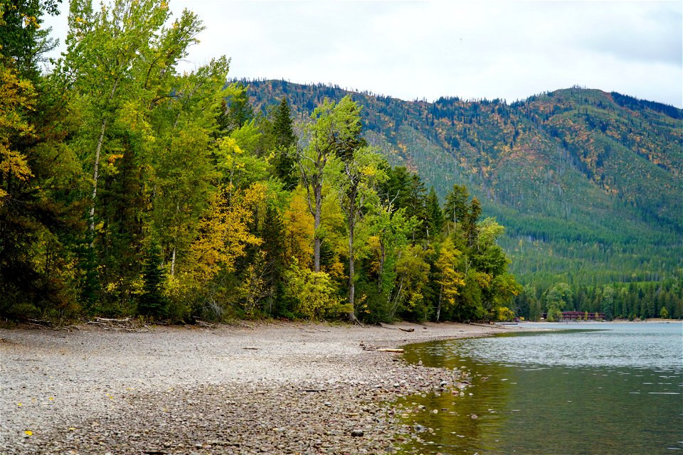 Apgar Picnic Area Shorline