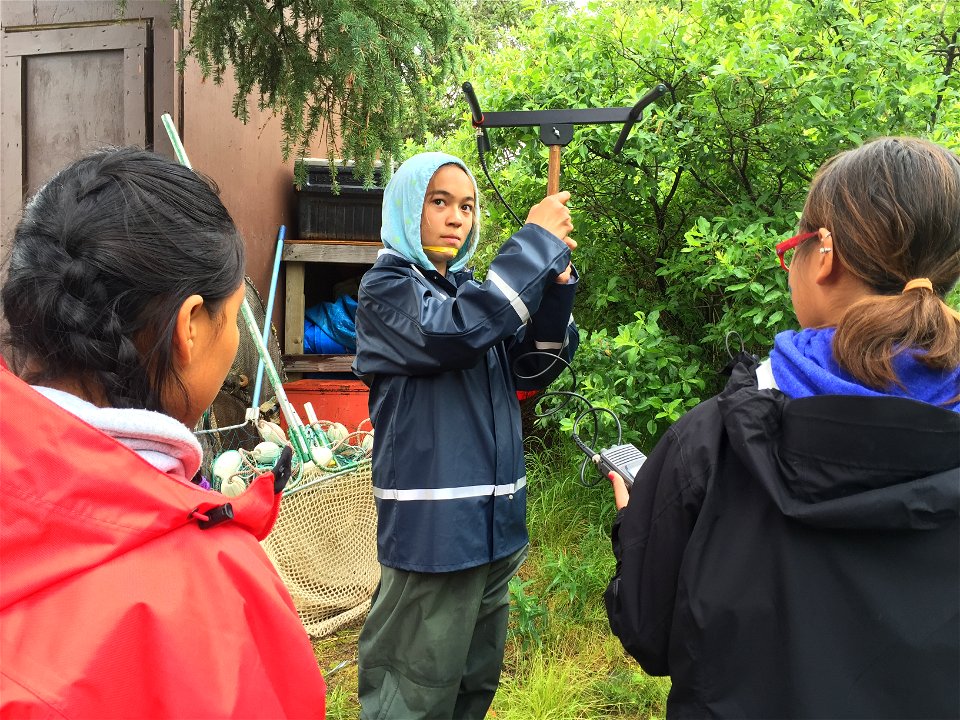 Wildlife telemetry activity