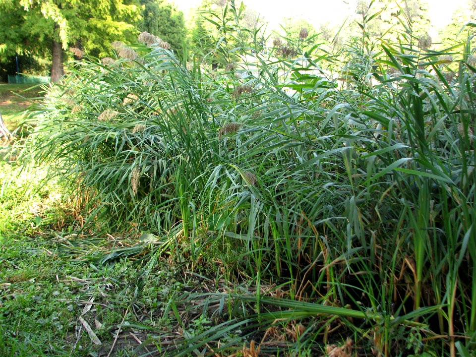 parcCirc2009_0909_175208