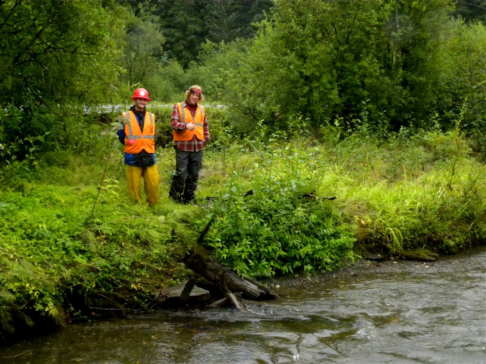 Toe-wood sod-mat bank restoration demonstration project (after) - Montana Creek, Juneau