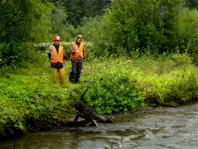 Toe-wood sod-mat bank restoration demonstration project (after) - Montana Creek, Juneau