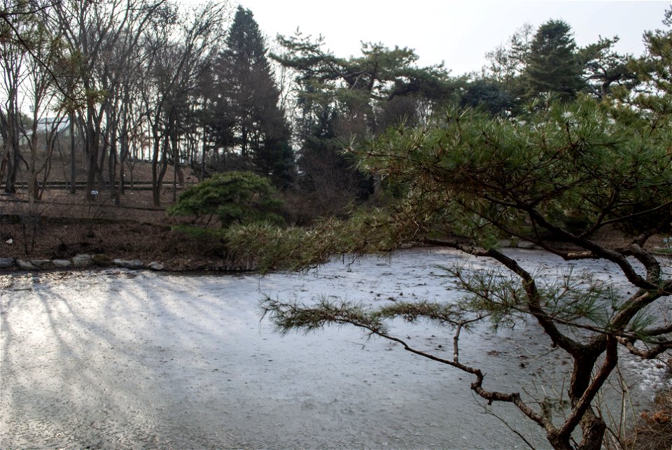 Hantaek Botanical Garden