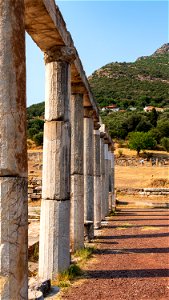 The Stoa of the Meatmarket / Messene photo