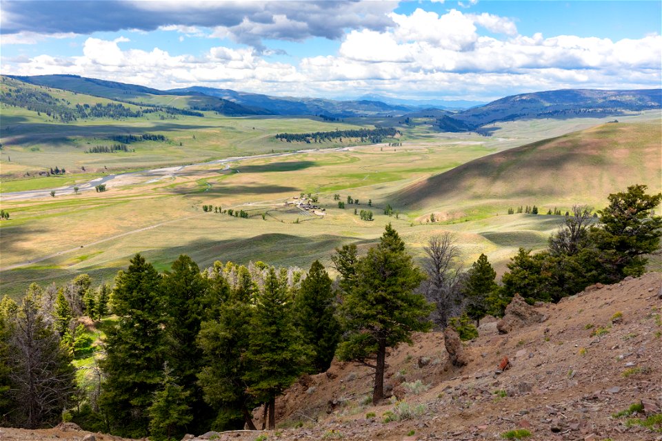 Overlooking Lamar Buffalo Ranch from Druid Peak hillside photo