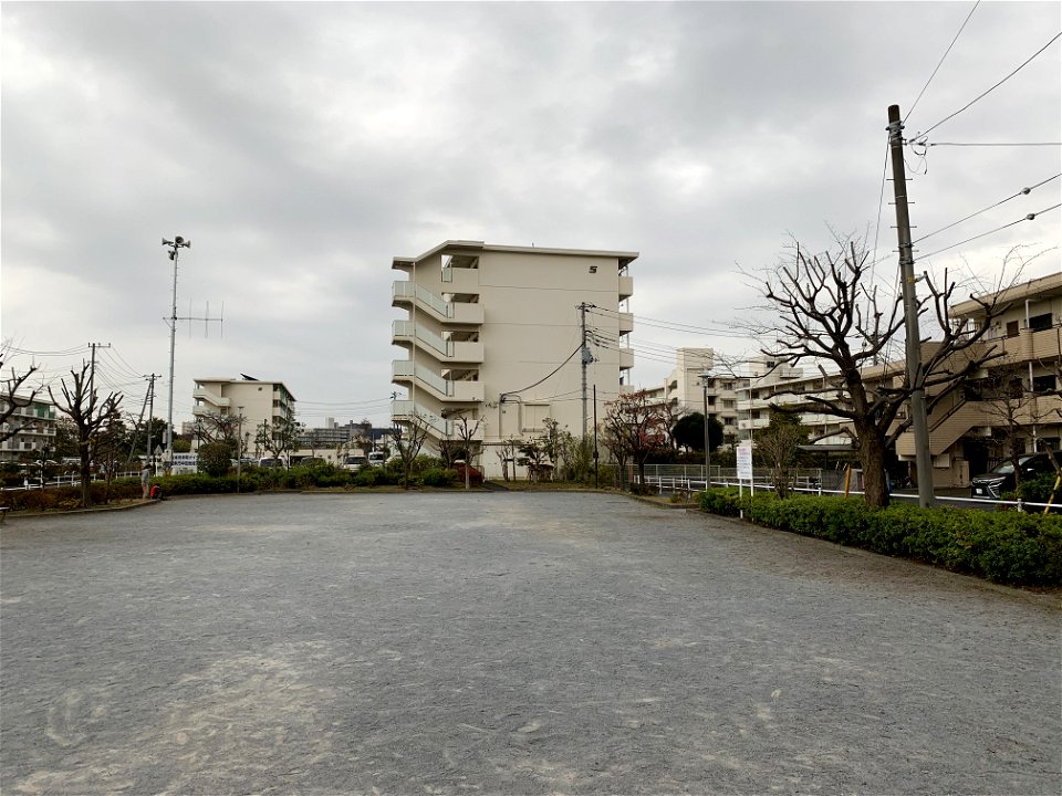 Saiwaicho Higashikurume-shi in November