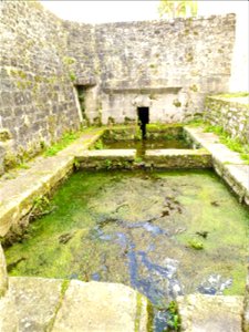 IMG_20211013_120627