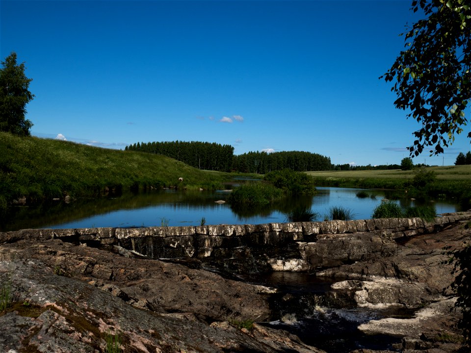 Nautelankoski in Summer
