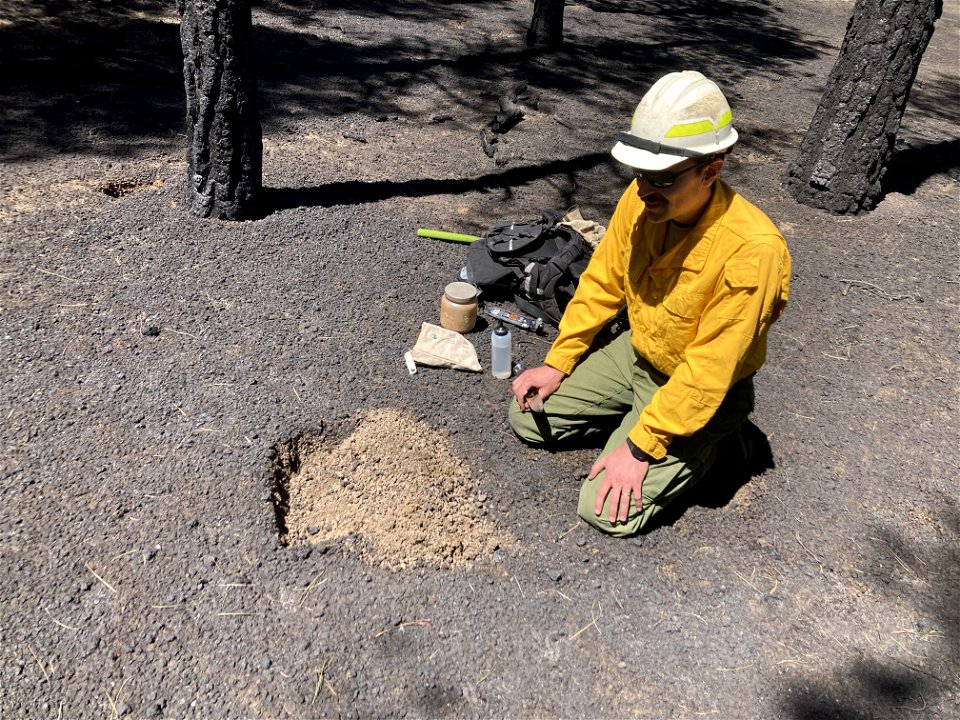 TunnelFireBAER_20220430_robballardassessesburnseveritywestofSunsetCraterNMnearFR414_DickFleishman