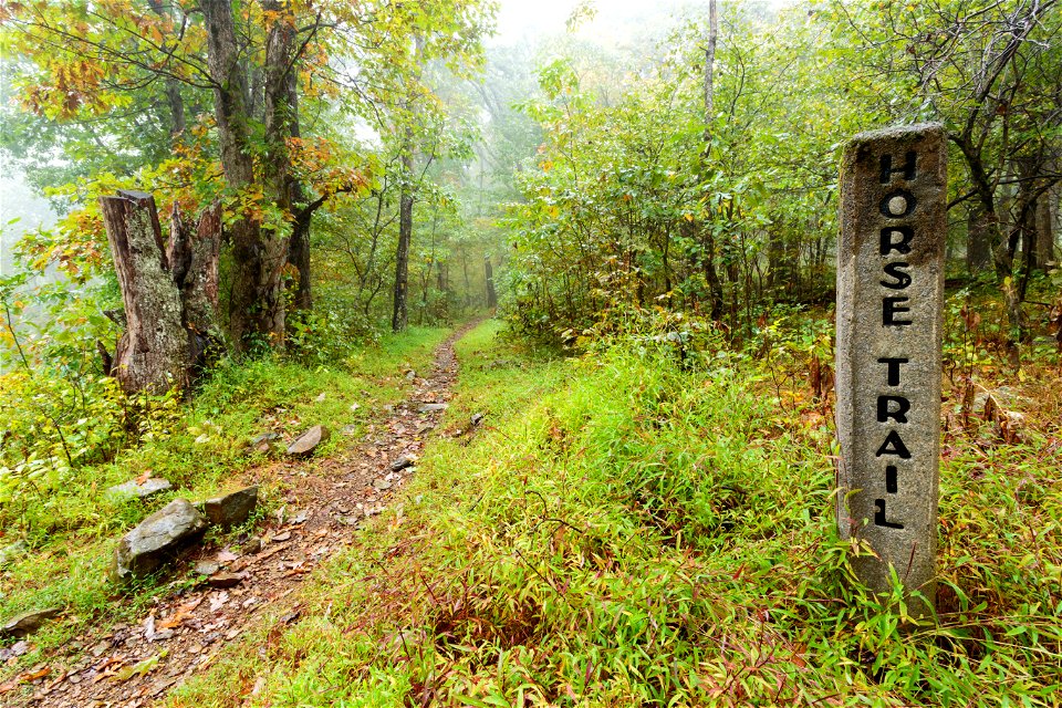 Skyland-Big Meadows Horse Trail