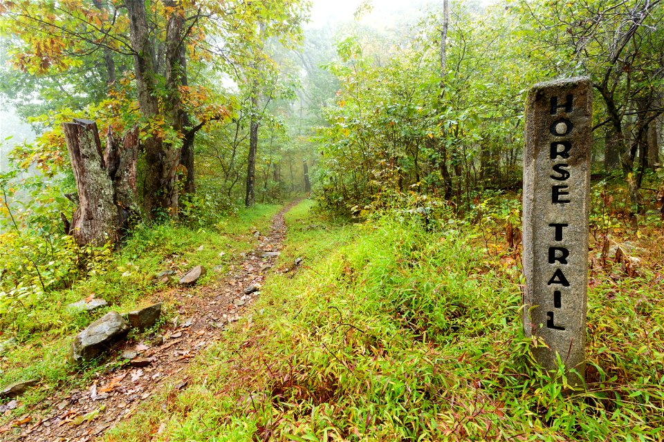 Skyland-Big Meadows Horse Trail photo