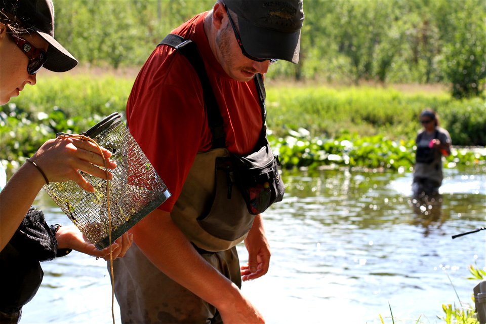 Anchorage Field Office Fisheries Crew at Work