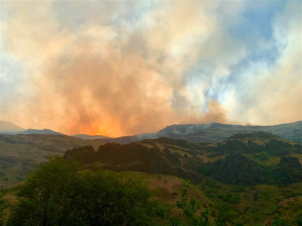 Joseph Canyon Fire