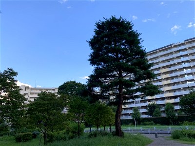 Hibarigaoka in Nishitokyo-shi