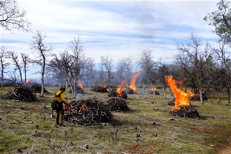 Burning Piles at Cloverdale Trails recreation area