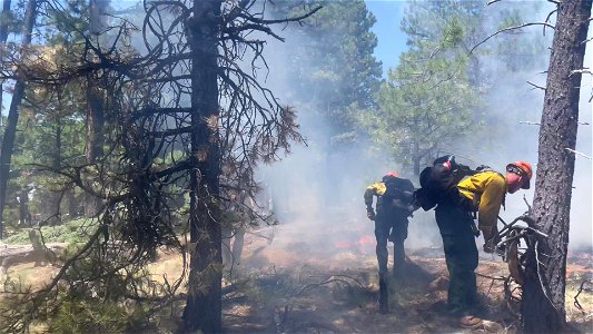 Little Tujunga Hotshots construct handline