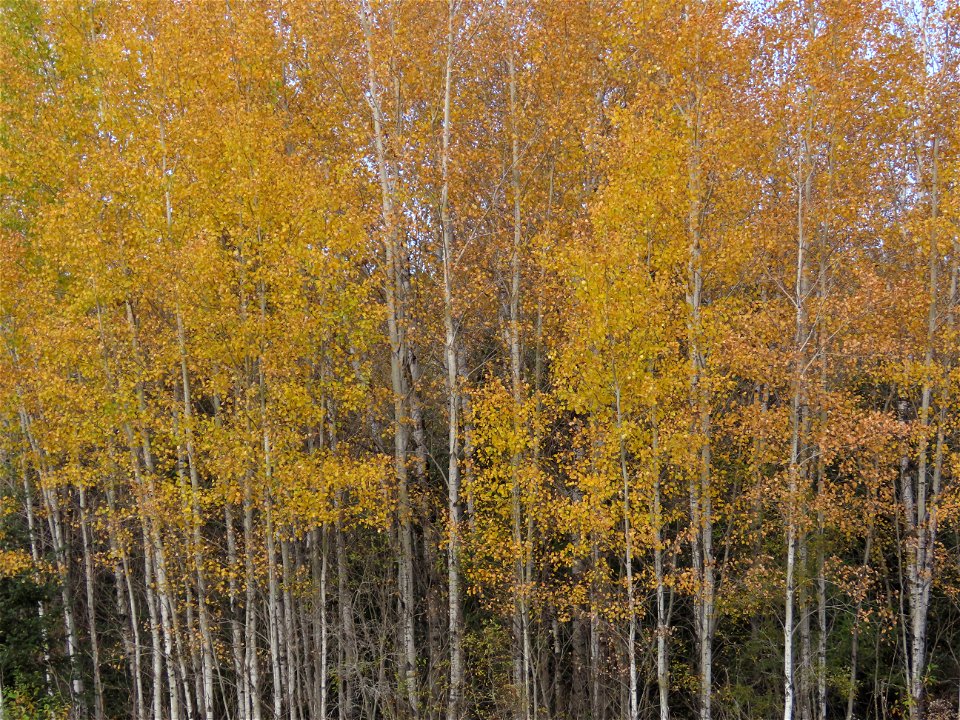 20221011-FS-Superior-SAR-006