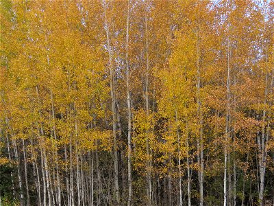 20221011-FS-Superior-SAR-006
