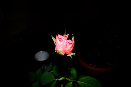 trandfmic_timelps2011_1108_201727