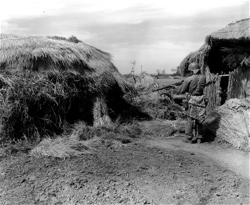 SC 349050 - South Korean Marine fires into a hay stack where they suspect North Koreans to be hiding. 20 September, 1950. photo